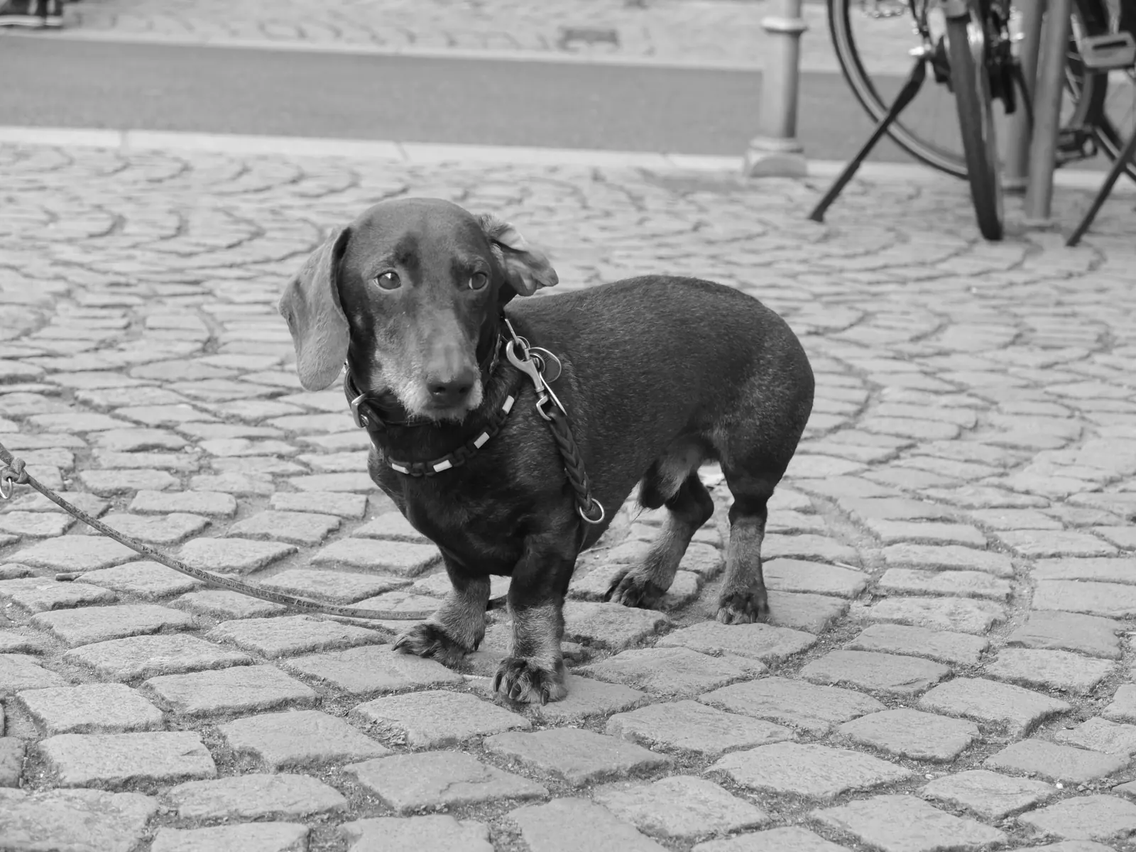 mainz, germany, 18/10/2025