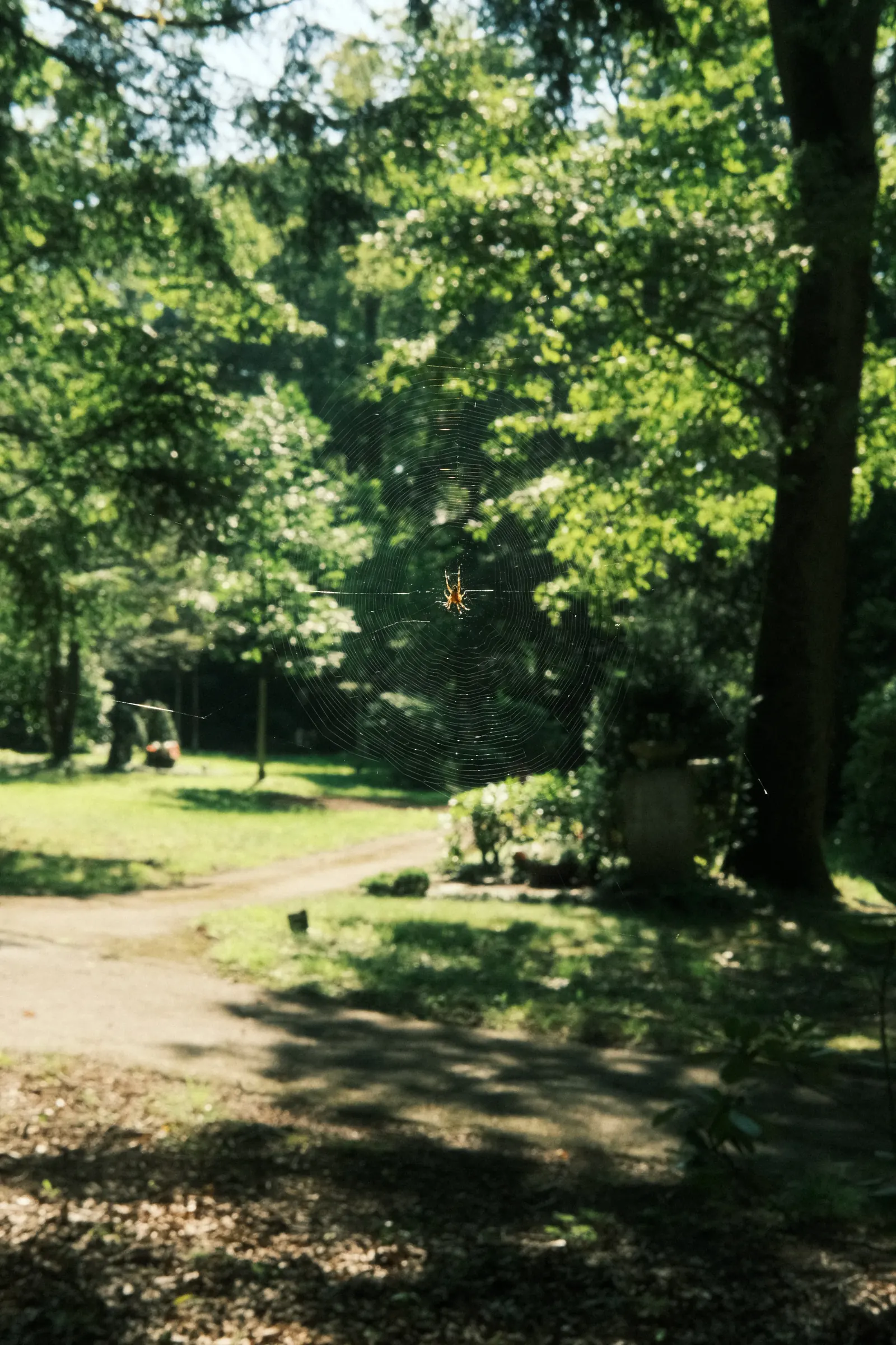 waldfriedhof, stuttgart, germany, 10/08/2025