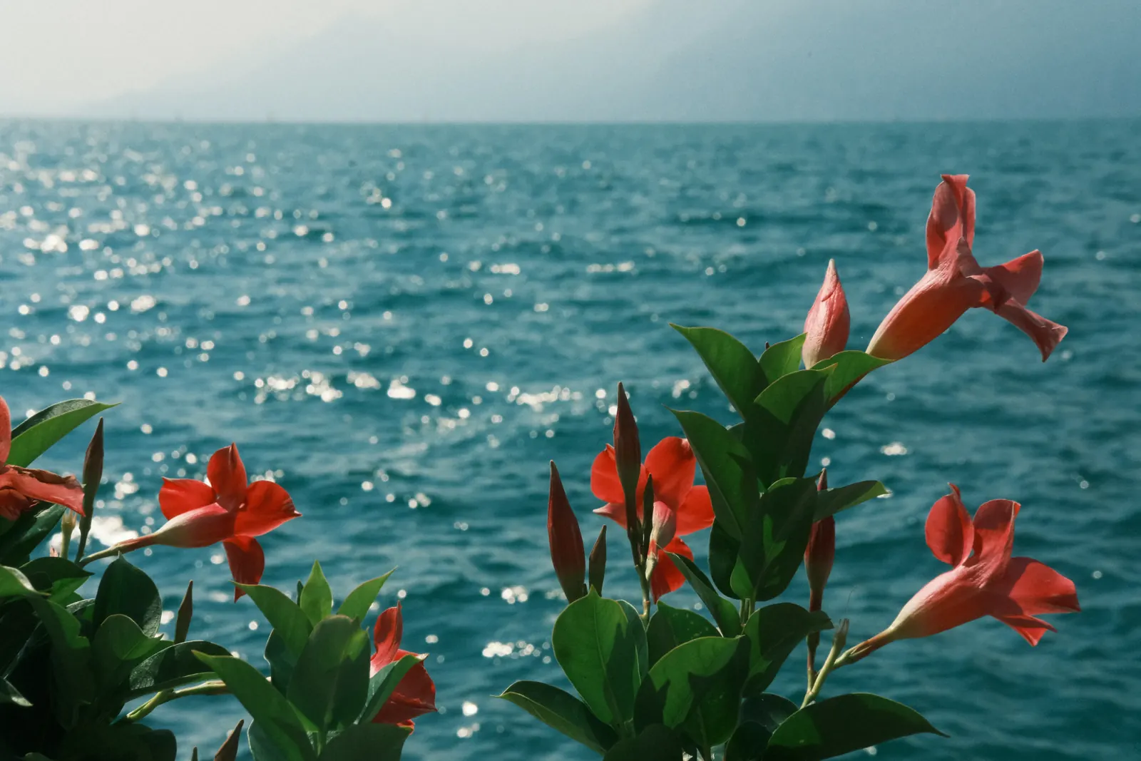 lago di garda, italy, 26/08/2025