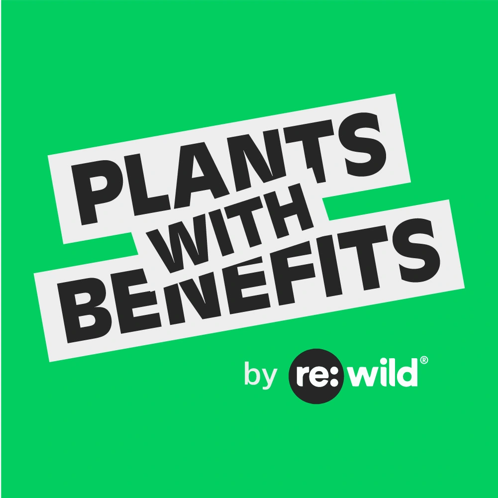 plants with benefits – image 11